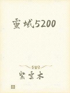 灵域5200
