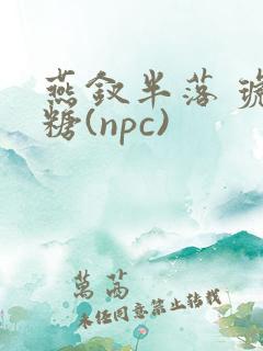 燕钗半落 琥珀糖(npc)
