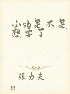 小sb是不是又想要了