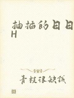 抽插的日日液液H