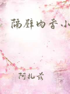 隔壁肉香小说