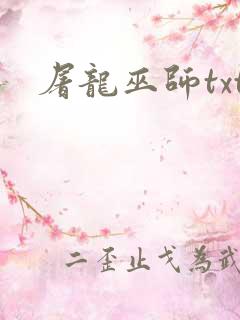 屠龙巫师txt