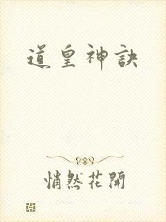 道皇神诀