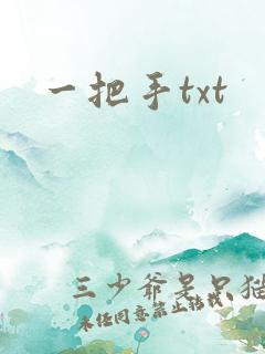 一把手txt