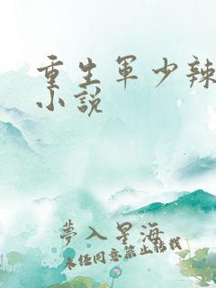 重生军少辣娇妻小说