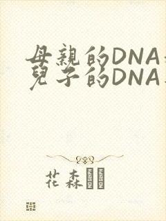 母亲的DNA和儿子的DNA是一样的吗