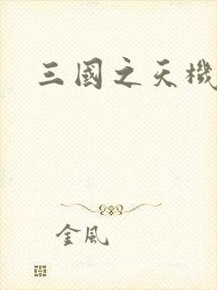 三国之天机军师