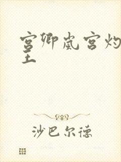 宫卿岚宫灼摄政王