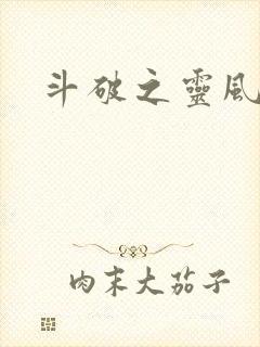 斗破之灵风