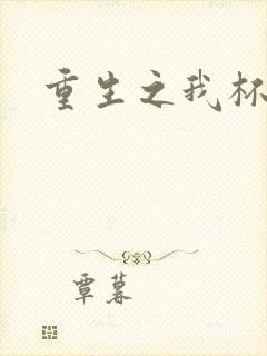 重生之我杯具了