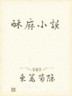 酥麻小说