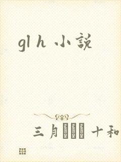 gl h 小说