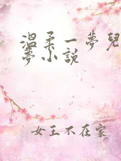 温柔一梦儿媳林梦小说