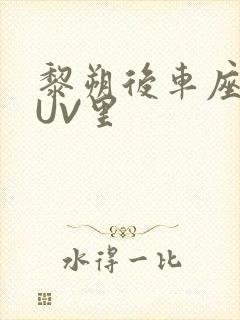 黎朔后车座上SUV里