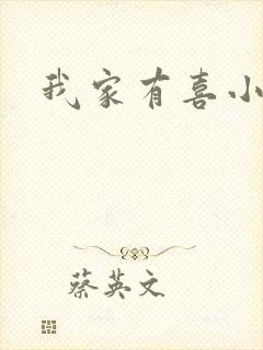 我家有喜小说