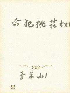 命犯桃花txt