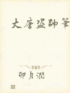 大唐盗帅笔趣阁