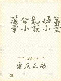 荡公乱妇第51章小说小莹