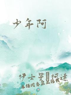 少年阿