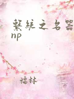 系统之名器攻略np