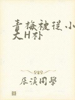 青梅被从小摸到大H补