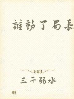 谁动了局长夫人