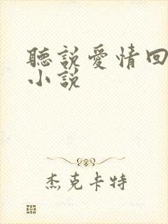 听说爱情回来过小说