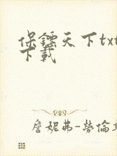 保镖天下txt下载