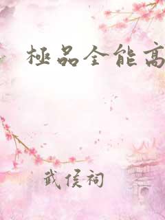 极品全能高手