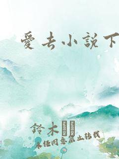 爱去小说下载网