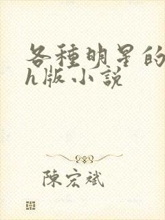 各种明星的综艺h版小说