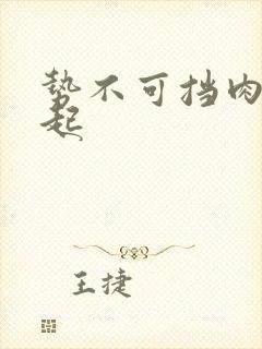 势不可挡肉到飞起