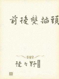 前后双插头互攻