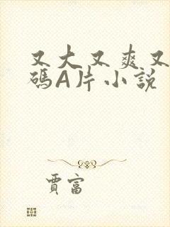 又大又爽又黄无码A片小说