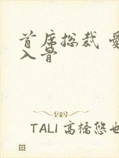 首席总裁 爱你入骨