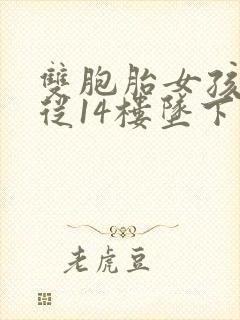 双胞胎女孩双双从14楼坠下