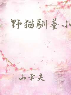 野猫驯养小说