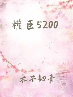 权臣5200