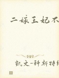 二嫁王妃不好惹