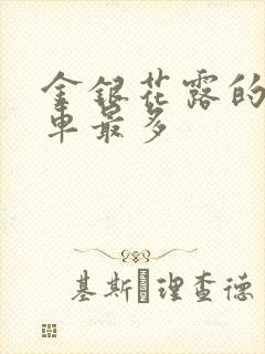 金银花露的哪个车最多