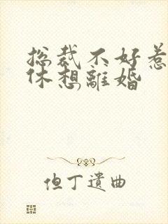 总裁不好惹女人休想离婚