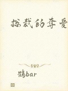 总裁的夺爱游戏