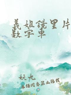 义姐镜里片微博数字车