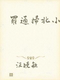 罗通扫北小说
