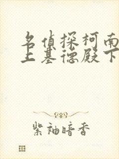 名侦探柯南之赖上基德殿下