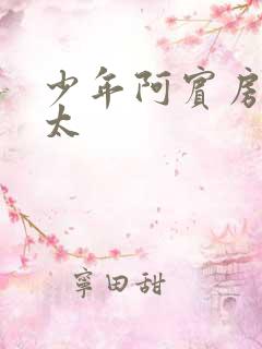 少年阿宾房东太太