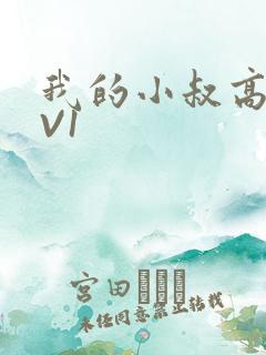 我的小叔高H1V1