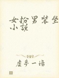 女扮男装坐江山小说