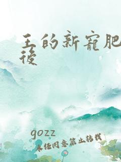 王的新宠肥婆皇后