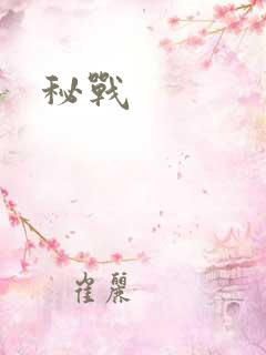 秘战